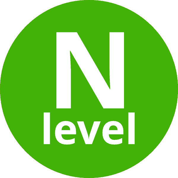 N level icon
